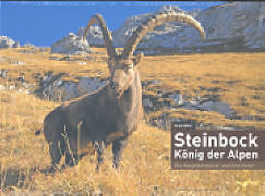 Steinbock - König der Alpen