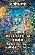 E-Book (epub) SPIRITUELLE HERAUSFORDERUNGEN MEISTERN von Christine Woydt