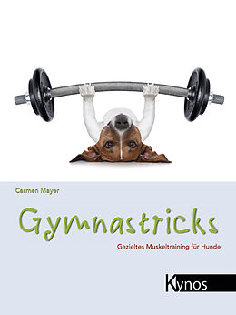 Kartonierter Einband Gymnastricks von Carmen Mayer