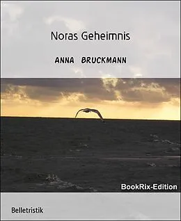 E-Book (epub) Noras Geheimnis von Anna Bruckmann