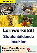 E-Book (pdf) Lernwerkstatt Staatenbildende Insekten von Wolfgang Wertenbroch
