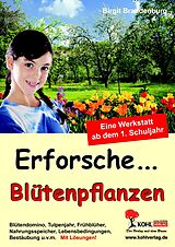 E-Book (pdf) Erforsche... Blütenpflanzen von Birgit Brandenburg