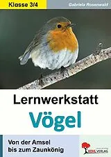 PDF Lernwerkstatt Vögel (GS) von Gabriela Rosenwald