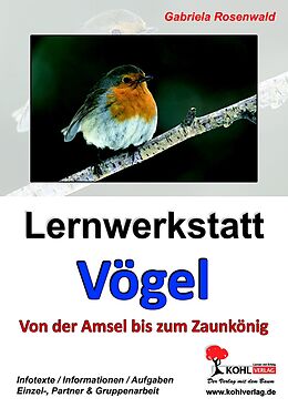 E-Book (pdf) Lernwerkstatt Vögel (GS) von Gabriela Rosenwald