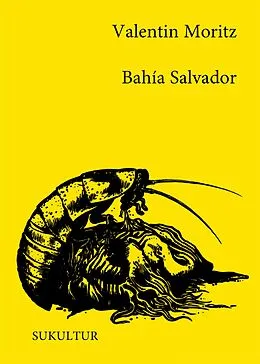E-Book (epub) Bahía Salvador von Valentin Moritz