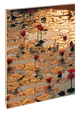 Blankobuch geb Lotus Pond von 