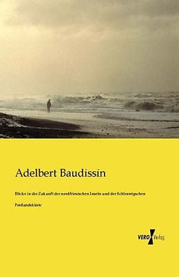 Kartonierter Einband Blicke in die Zukunft der nordfriesischen Inseln und der Schleswigschen Festlandsküste von Adelbert Baudissin