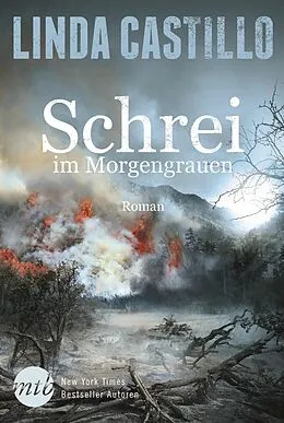 E-Book (epub) Schrei im Morgengrauen von Linda Castillo