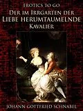 E-Book (epub) Der im Irrgarten der Liebe herumtaumelnde Kavalier von Johann Gottfried Schnabel
