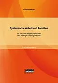 E-Book (pdf) Systemische Arbeit mit Familien: Ein kritischer Vergleich zwischen Bert Hellinger und Virginia Satir von Ricus Thielbörger