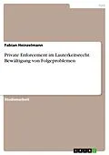 E-Book (pdf) Private Enforcement im Lauterkeitsrecht. Bewältigung von Folgeproblemen von Fabian Heinzelmann