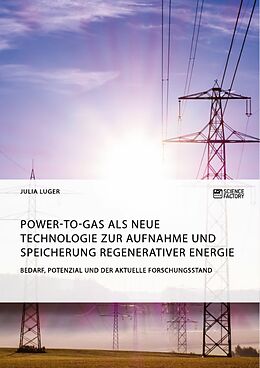 E-Book (pdf) Power-to-Gas als neue Technologie zur Aufnahme und Speicherung regenerativer Energie. Bedarf, Potenzial und der aktuelle Forschungsstand von Julia Luger