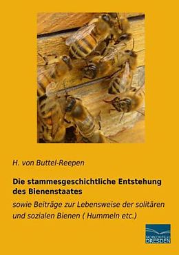 Kartonierter Einband Die stammesgeschichtliche Entstehung des Bienenstaates von H. von Buttel-Reepen