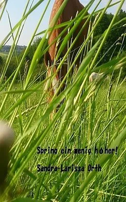E-Book (epub) Spring ein wenig höher! von Sandra-Larissa Orth
