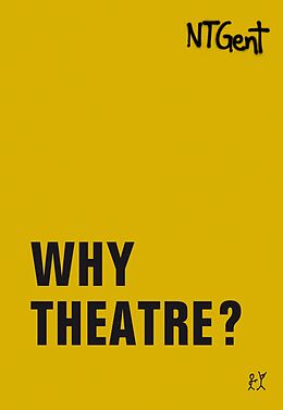 E-Book (pdf) Why Theatre? von 