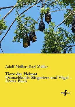 Kartonierter Einband Tiere der Heimat von Adolf Müller, Karl Müller