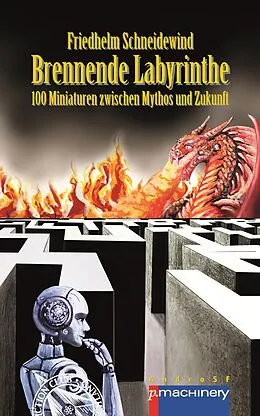 E-Book (epub) BRENNENDE LABYRINTHE von Friedhelm Schneidewind