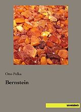 Kartonierter Einband Bernstein von Otto Pelka