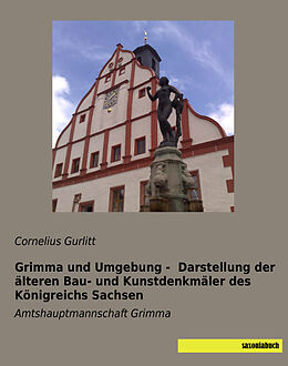 Kartonierter Einband Grimma und Umgebung - Darstellung der älteren Bau- und Kunstdenkmäler des Königreichs Sachsen von Cornelius Gurlitt