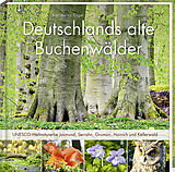 Fester Einband Deutschlands alte Buchenwälder von Karl Heinz Engel