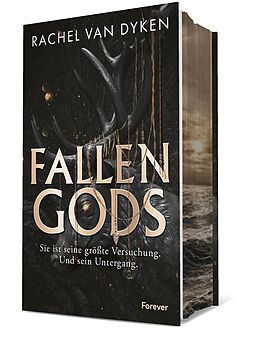 Fester Einband Fallen Gods (Fallen Gods 1) von Rachel van Dyken