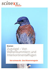 E-Book (epub) Zugvögel von Kerstin Höhfeld