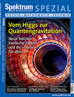 E-Book (epub) Vom Higgs zur Quantengravitation von 