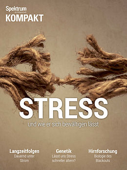 E-Book (pdf) Stress von 