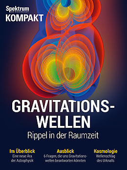 E-Book (pdf) Gravitationswellen von 