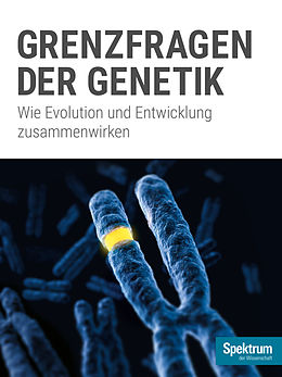 E-Book (epub) Grenzfragen der Genetik von 