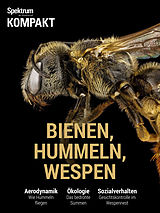 E-Book (pdf) Spektrum Kompakt - Bienen, Hummeln, Wespen von 