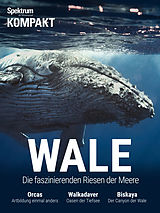 E-Book (pdf) Spektrum Kompakt - Wale von 