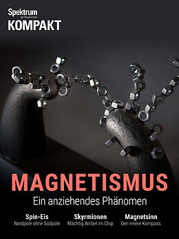 E-Book (pdf) Spektrum Kompakt - Magnetismus von Spektrum der Wissenschaft