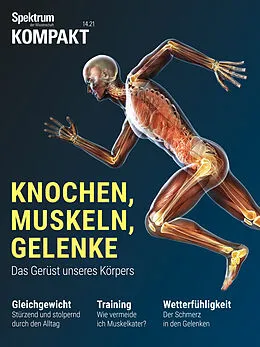E-Book (pdf) Spektrum Kompakt - Knochen, Muskeln, Gelenke von Spektrum der Wissenschaft