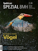 Kartonierter Einband Spektrum Spezial BMH 2/2024 - Vögel von Spektrum der Wissenschaft