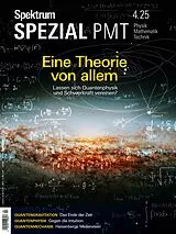 Kartonierter Einband Spektrum Spezial PMT 4/2025 - Eine Theorie von allem von Spektrum der Wissenschaft