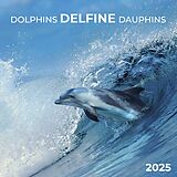 Kalender Dolphins/Delfine 2025 von 