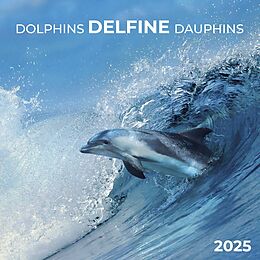 Kalender Dolphins/Delfine 2025 von 