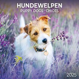 Kalender Puppy Dogs/Hundewelpen 2025 von 