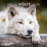 Kalender Wolves/Wölfe 2025 von 