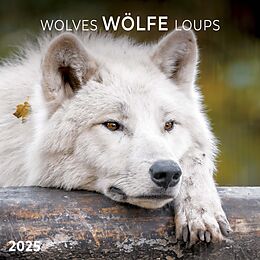 Kalender Wolves/Wölfe 2025 von 