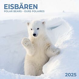 Kalender Polar Bears/Eisbärchen 2025 von 