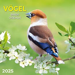 Kalender Vögel 2025 von 