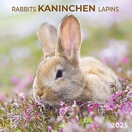 Calendrier Rabbits/Kaninchen 2025 de 