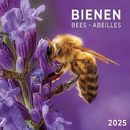 Kalender Bienen 2025 von 