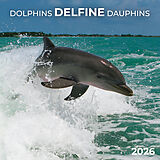 Kalender Delfine/Dolphins 2026 von