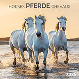 Kalender Pferde/Horses 2026 von