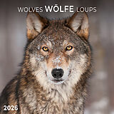 Kalender Wölfe/Wolves 2026 von 