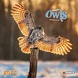 Kalender Magic Owls 2027 von