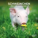 Kalender Schweinchen / Piggies 2027 von